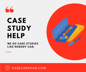 Case Analysis Report Example